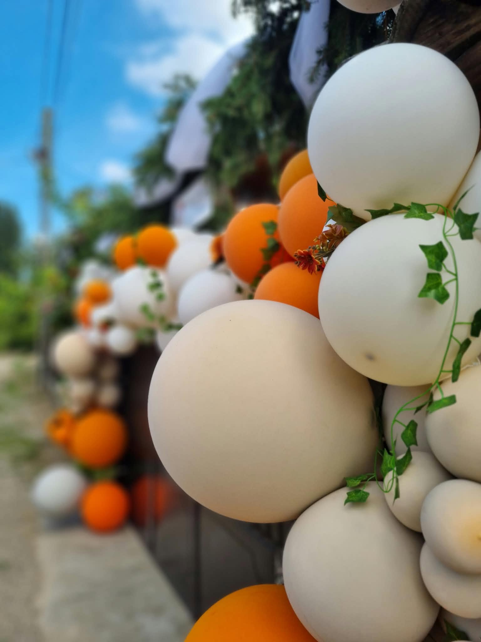 Air & Glow outdoor wedding balloon garland with trailing ivy
